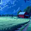 user21825007358514