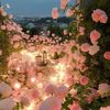 huda_xx26