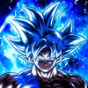 17_gokublak