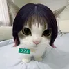 i_like_d_4_evaa