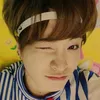got7l0vers
