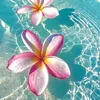 nourtt12377