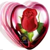user32344863474182