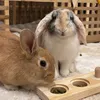 whiskeyandoliverbunnies