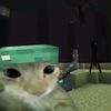 benjamin_5876753