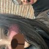 luu_noseb