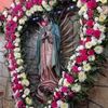 sara.morales6397