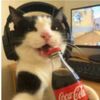its_achara1