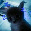 asher__your_fav