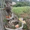 thhm.ng.vn