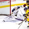 gavinhaunholter31