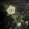 riiiiimi__