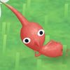 raybert35
