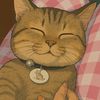 upil.the.cat