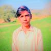 sameer.kabootar.baaz801