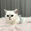 food4ryou