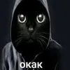 user9803318431247