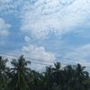 alyaasafitri655