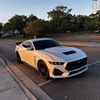 lil.yang650
