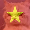 ahnx_vie