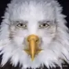 dumamay69saygex