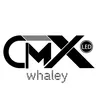 whaley_ledscreen
