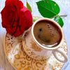 user5486211161074