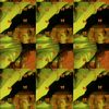 abelliabell6