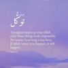 afsheen.kamran6