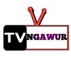 TV NGAWUR