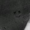 icawww002
