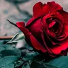 be_proud_of_yourself8