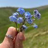 esila_3661