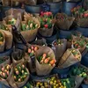 hướng nội nhưng lắm chuyện