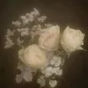 wholive6