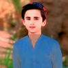 nayyar.nawaz.78608