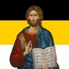 svyatoy_podsolnuh