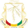 guine333