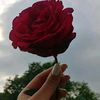 fatima.ramirez114