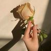 nwara_77