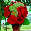 mst.moyuri.akhter
