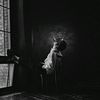 misterm_023