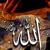 mustafa.khalil408