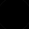 berishvilii1