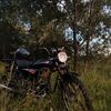alpha_flash3