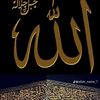 almohalbjabir28