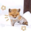 bi.bon_gllak