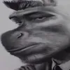 donk_editz