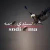sndi_ma1996
