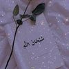 user14632743637811